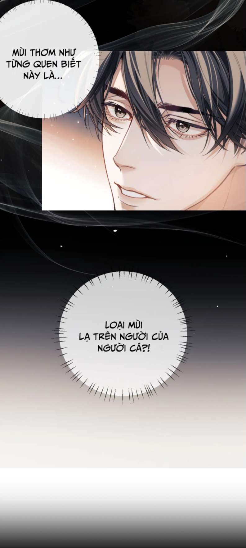 Desharow Nhân Ngư Chapter 6 - Trang 4