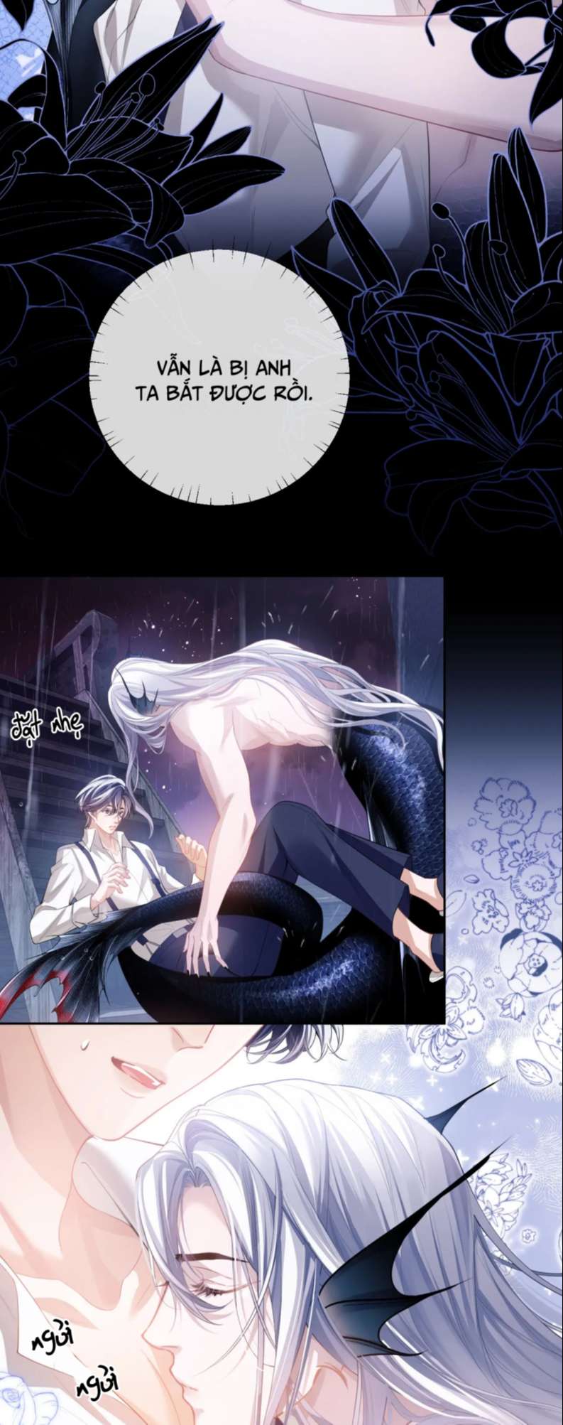 Desharow Nhân Ngư Chapter 6 - Trang 4