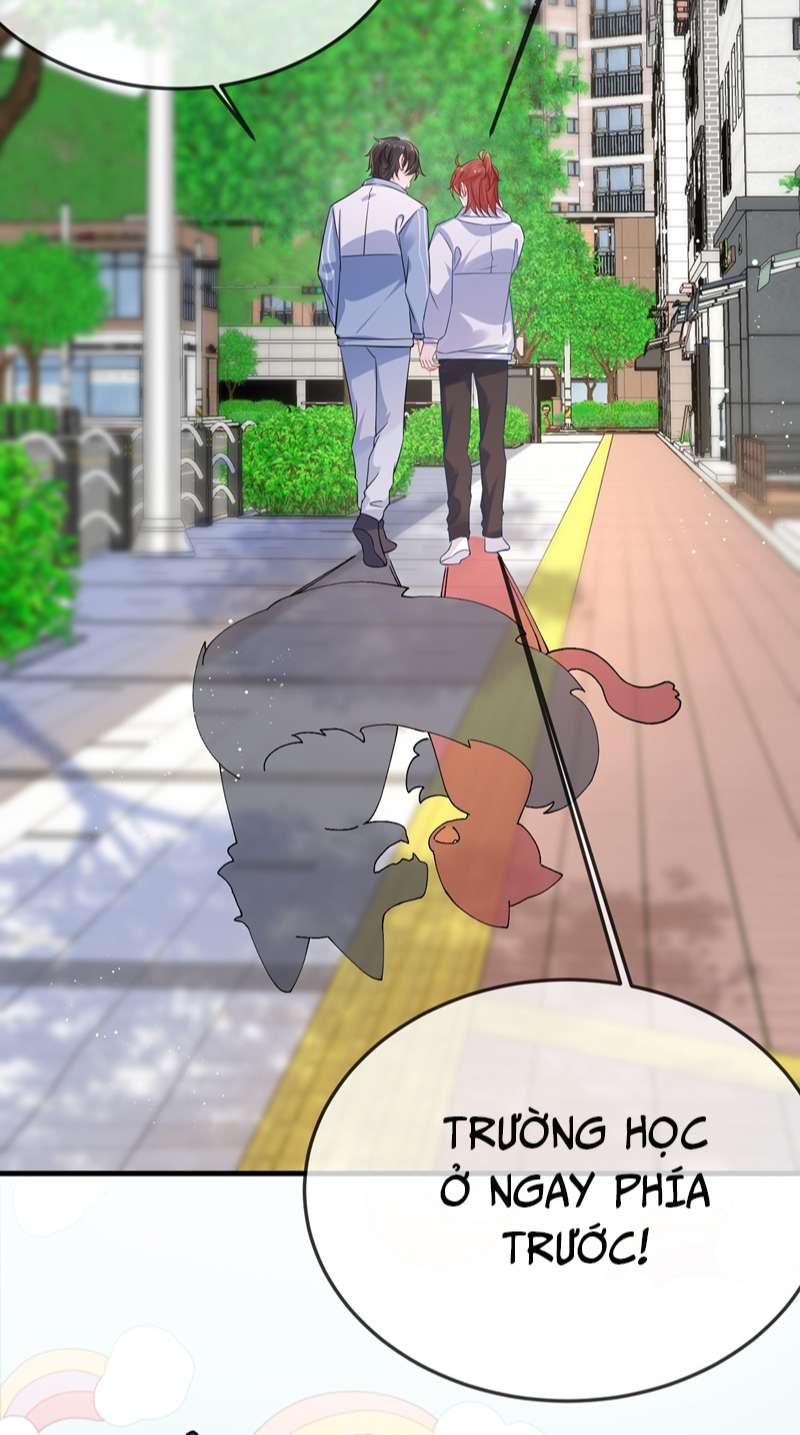 Giáo Bá Là Một Tên Yêu Tinh Chapter 64 - Trang 4