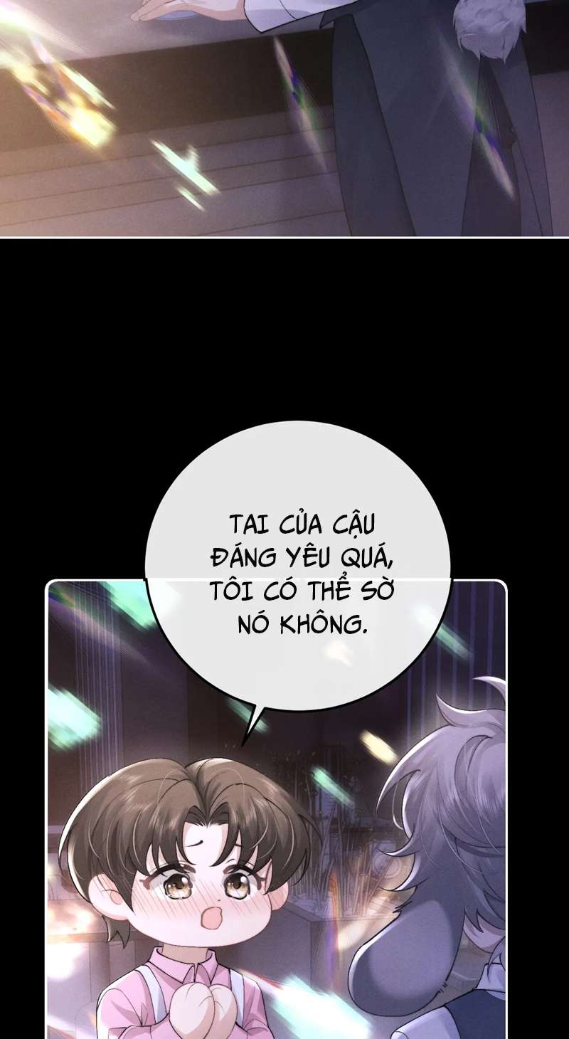 Chấp Sự Thỏ Cụp Tai Chapter 44 - Trang 4