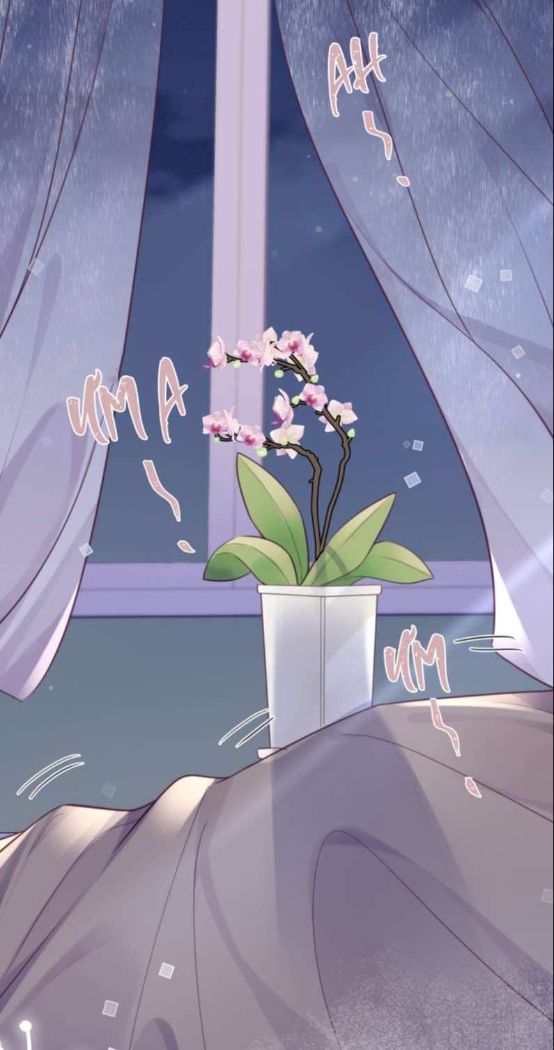 Tổng Tài Định Chế Tư Nhân Chapter 49 - Trang 4