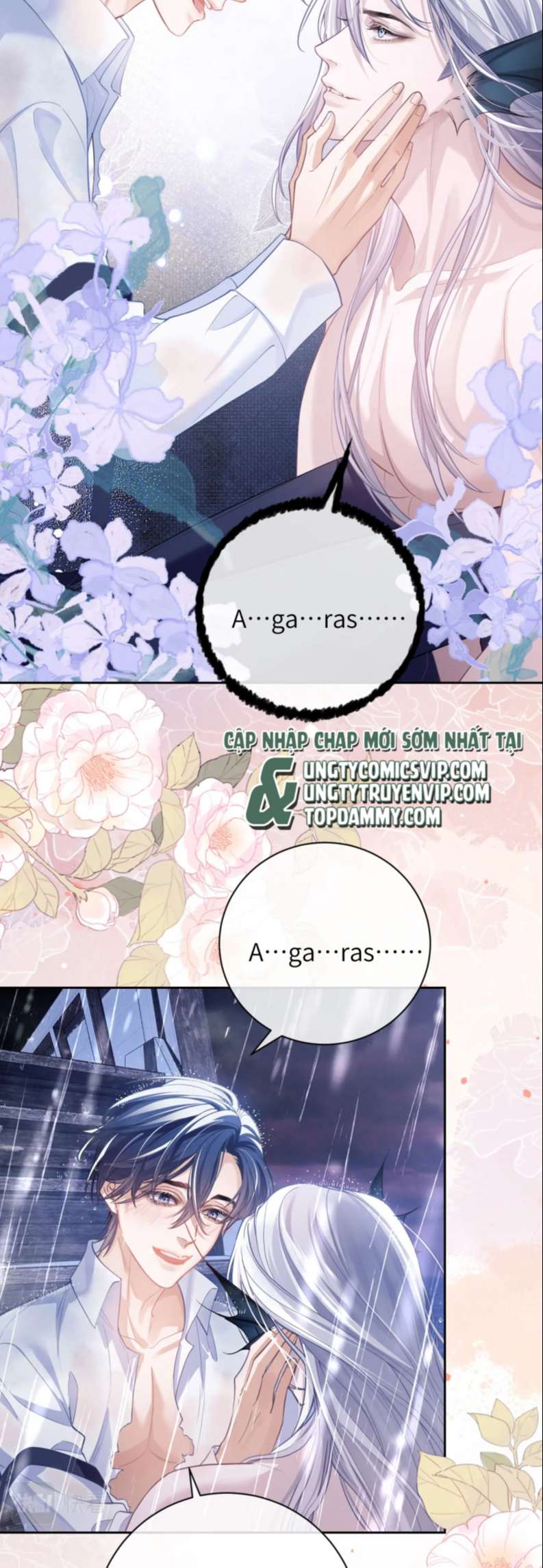 Desharow Nhân Ngư Chapter 7 - Trang 4