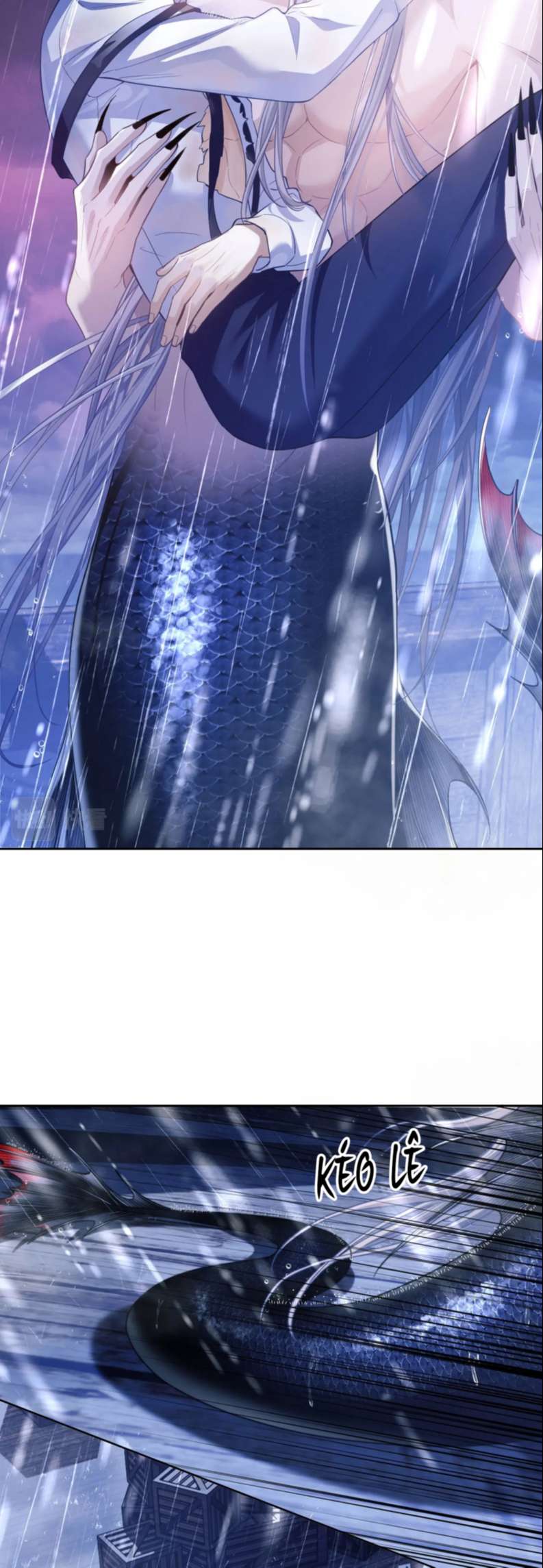 Desharow Nhân Ngư Chapter 7 - Trang 4