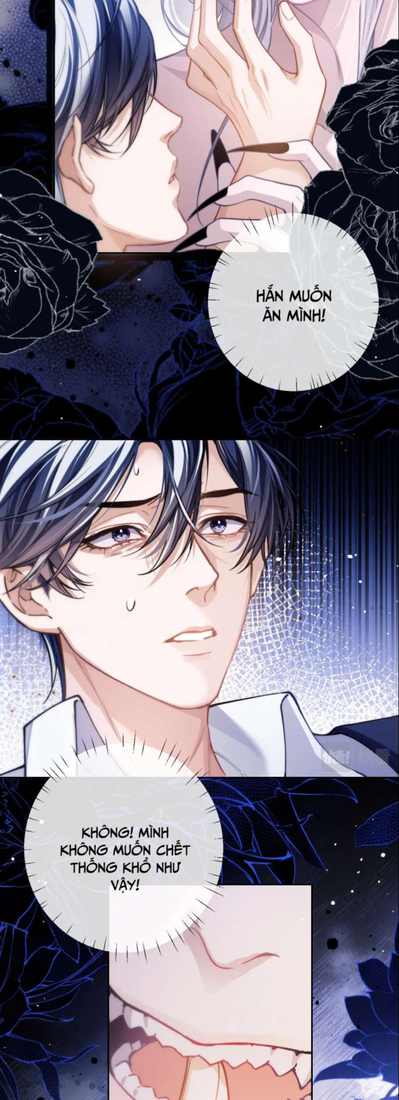 Desharow Nhân Ngư Chapter 7 - Trang 4