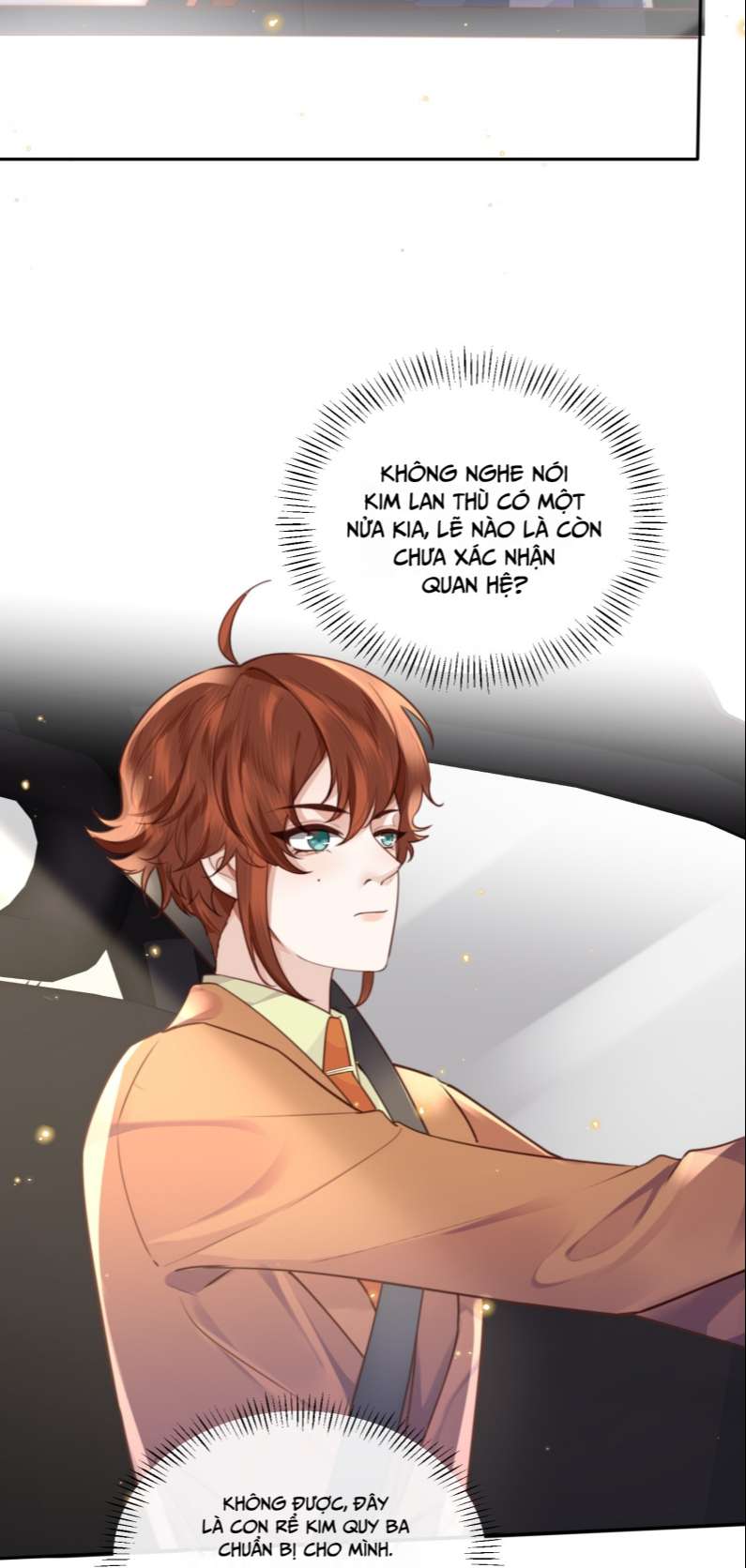 Tổng Tài Định Chế Tư Nhân Chapter 51 - Trang 4