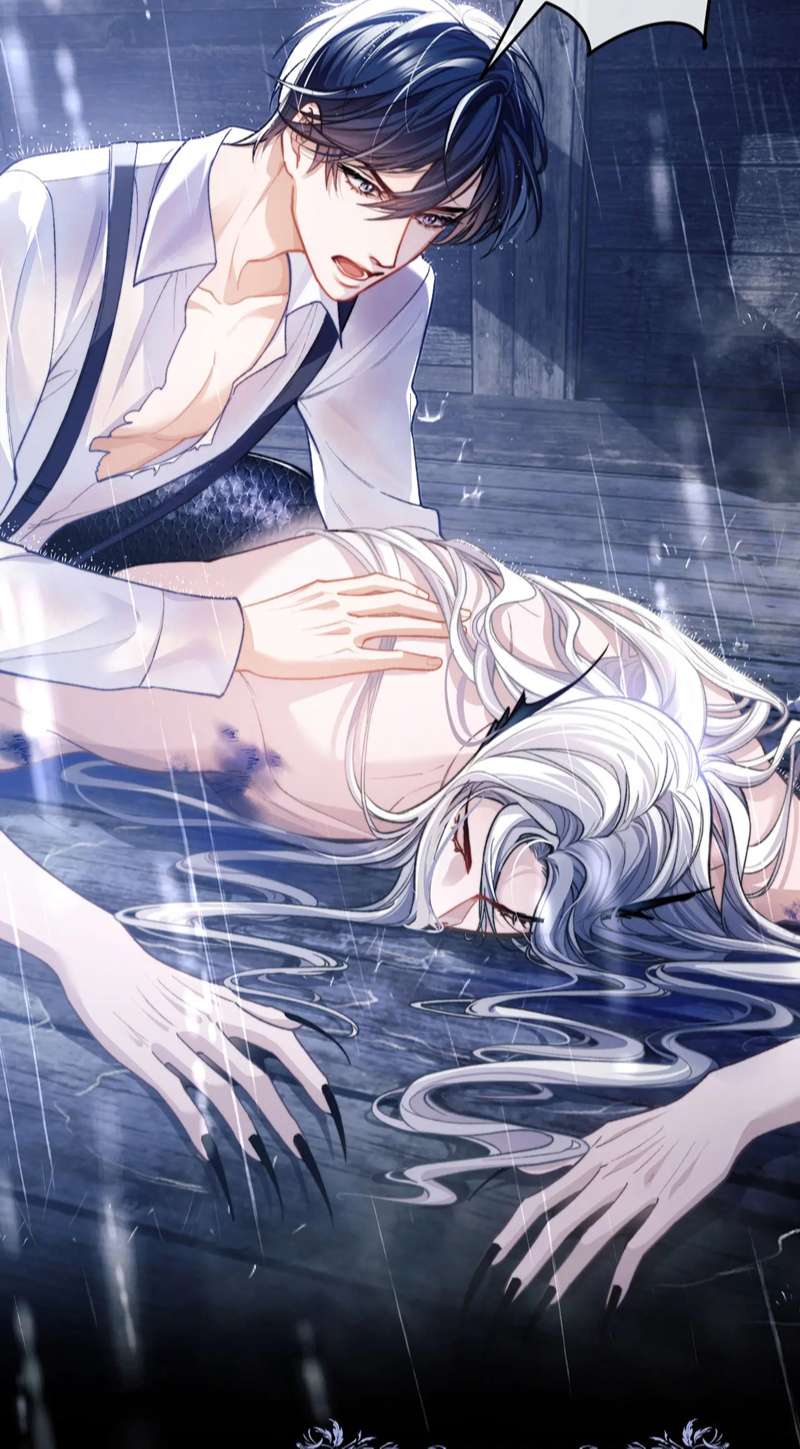 Desharow Nhân Ngư Chapter 8 - Trang 4