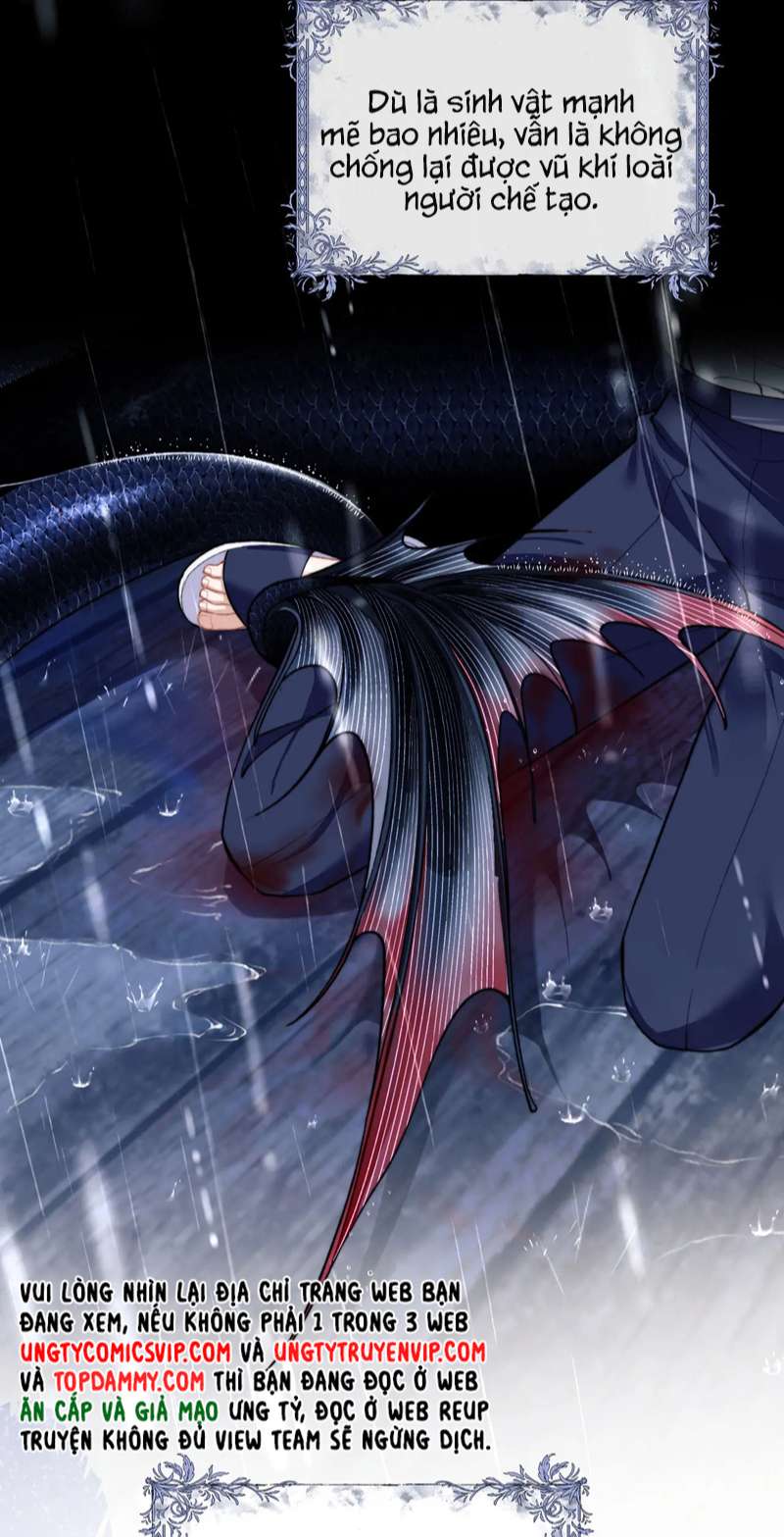 Desharow Nhân Ngư Chapter 8 - Trang 4