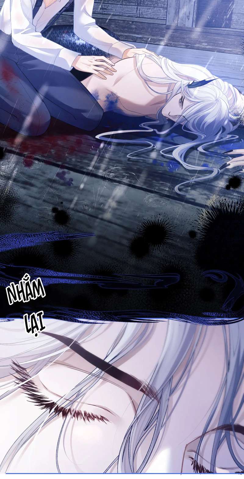 Desharow Nhân Ngư Chapter 8 - Trang 4