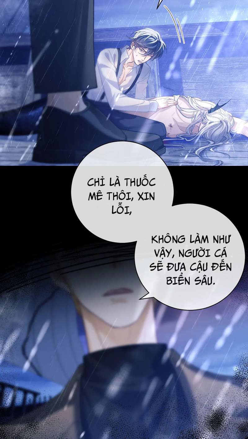Desharow Nhân Ngư Chapter 8 - Trang 4
