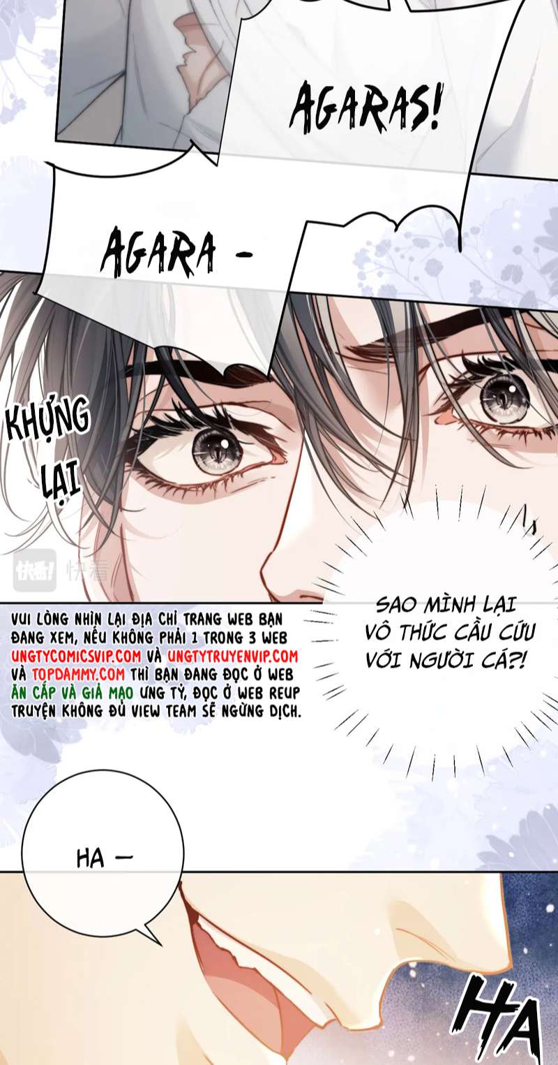 Desharow Nhân Ngư Chapter 8 - Trang 4