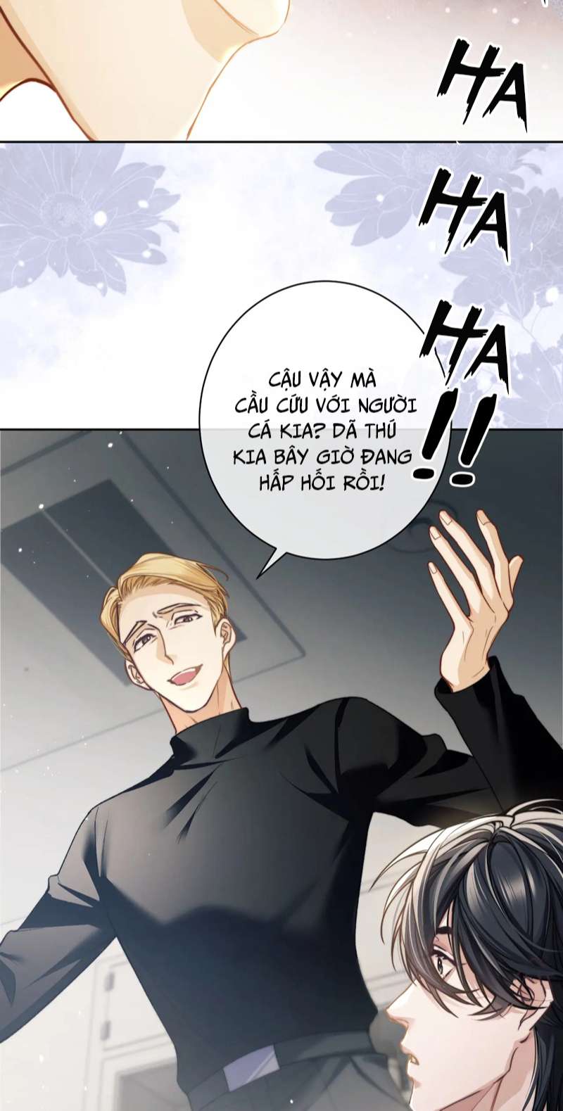 Desharow Nhân Ngư Chapter 8 - Trang 4