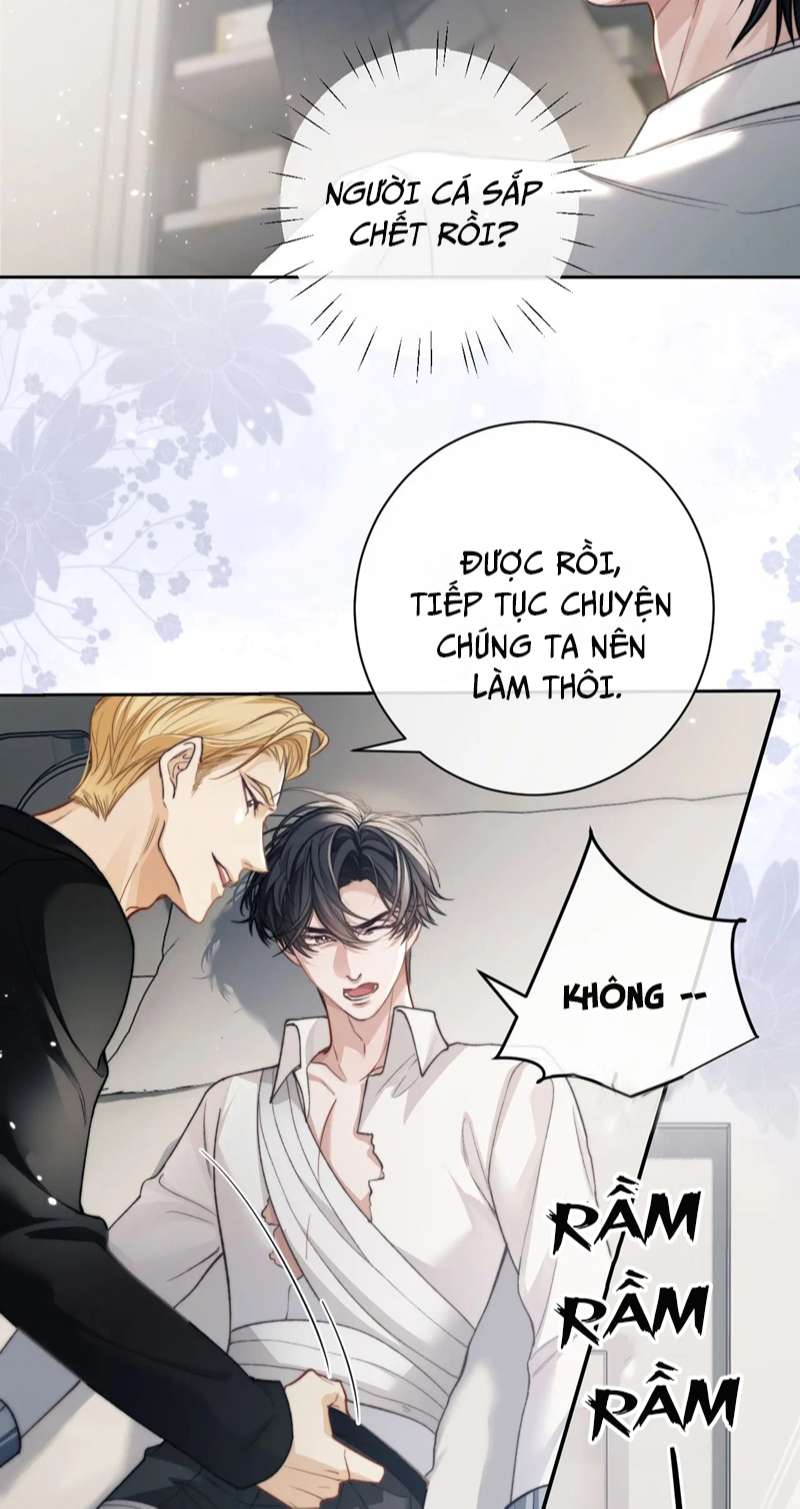 Desharow Nhân Ngư Chapter 8 - Trang 4