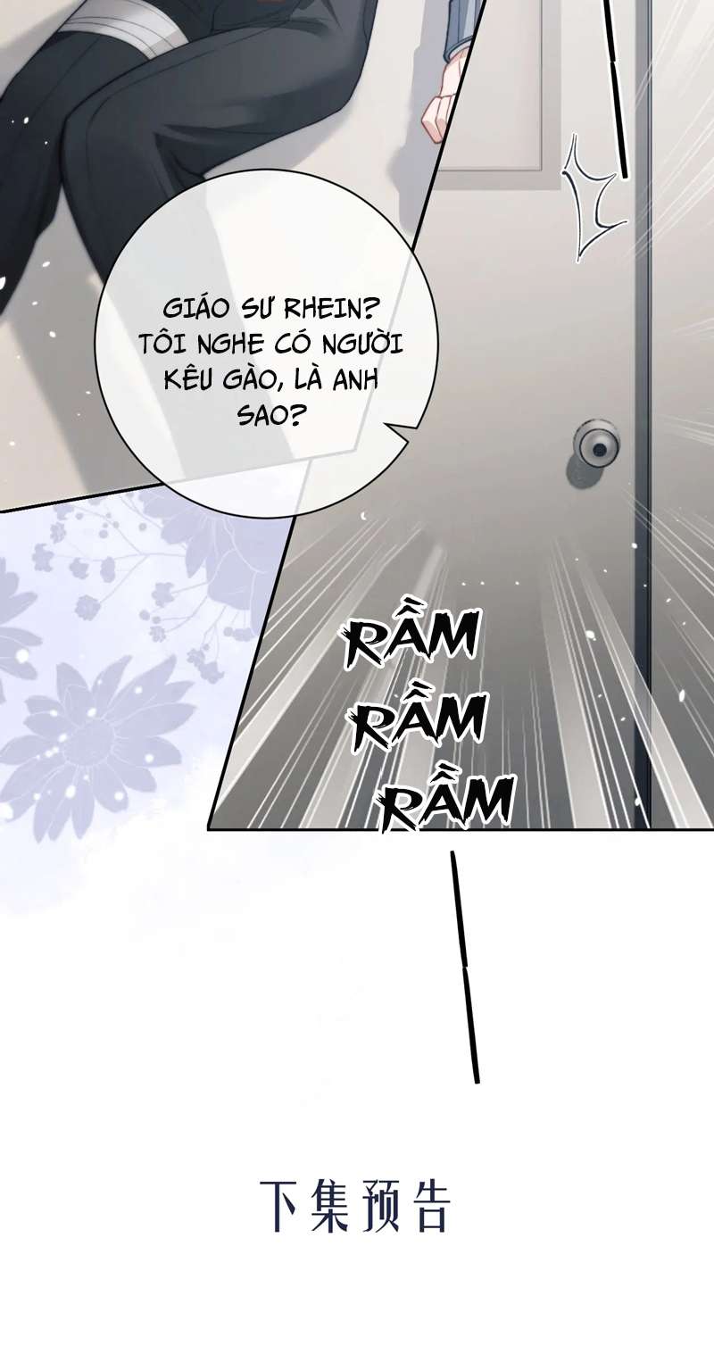 Desharow Nhân Ngư Chapter 8 - Trang 4