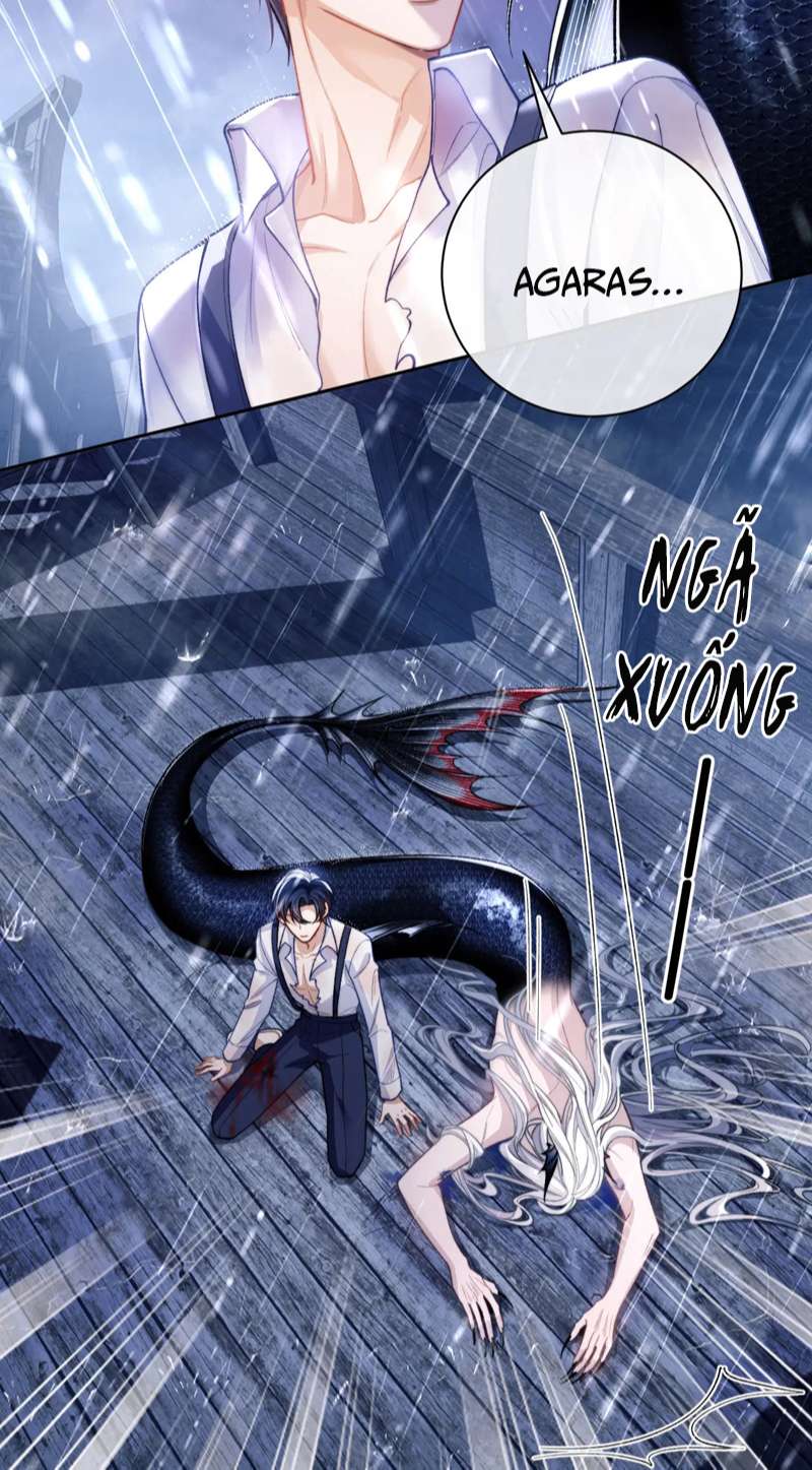 Desharow Nhân Ngư Chapter 8 - Trang 4