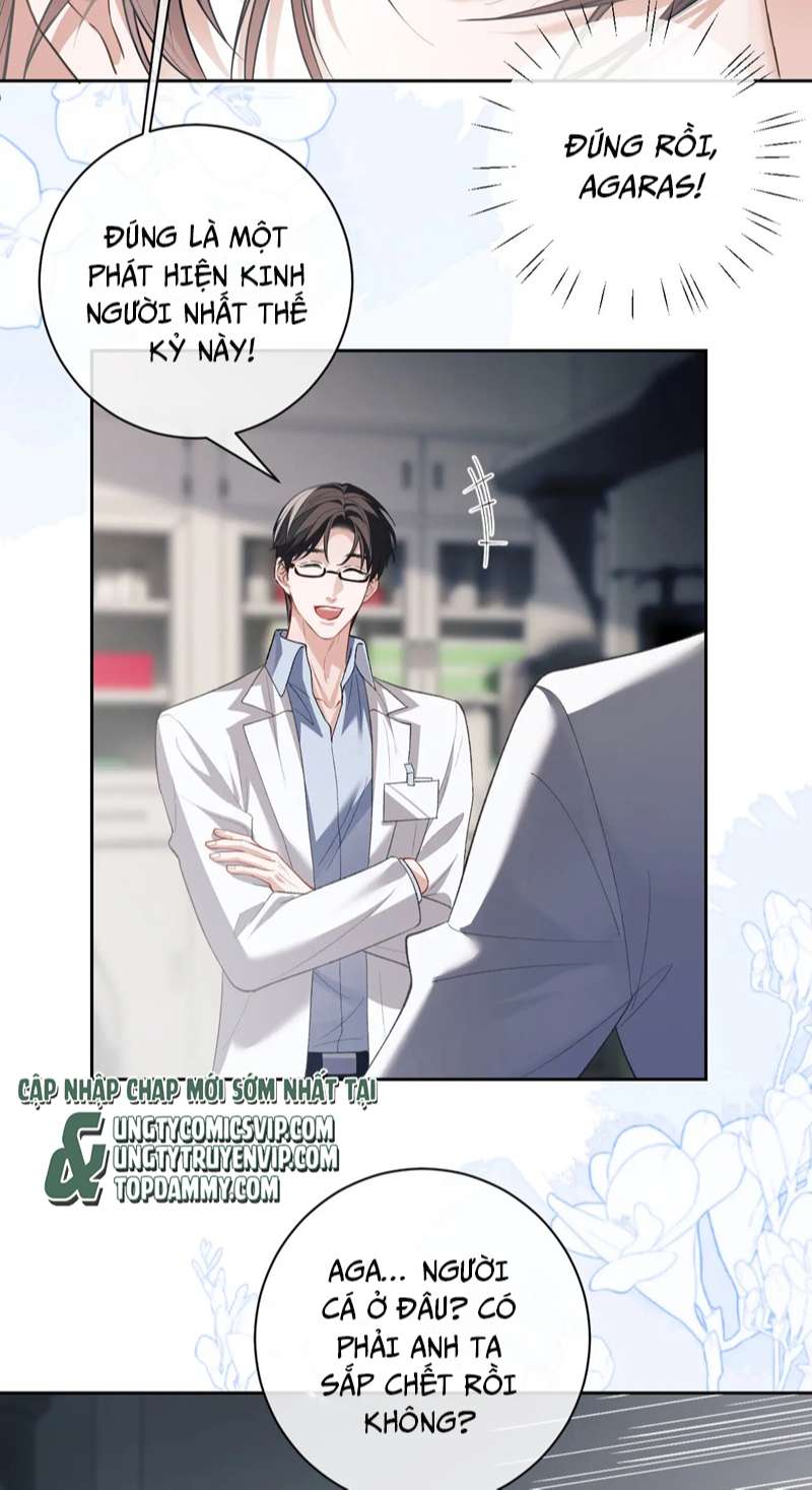 Desharow Nhân Ngư Chapter 9 - Trang 4