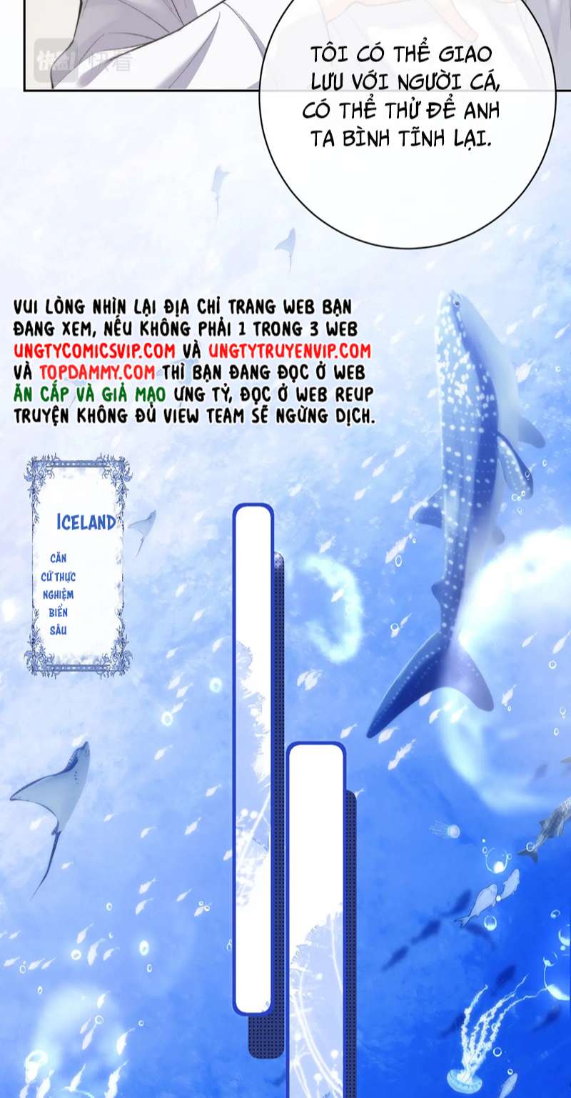 Desharow Nhân Ngư Chapter 9 - Trang 4