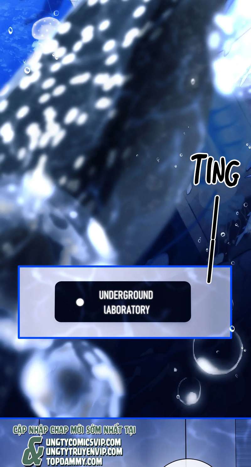 Desharow Nhân Ngư Chapter 9 - Trang 4