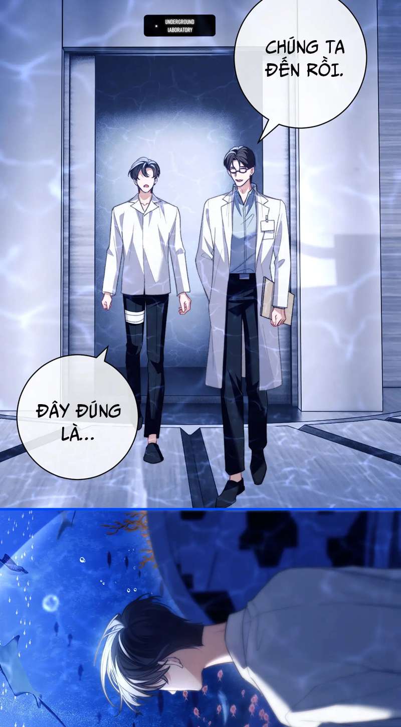 Desharow Nhân Ngư Chapter 9 - Trang 4