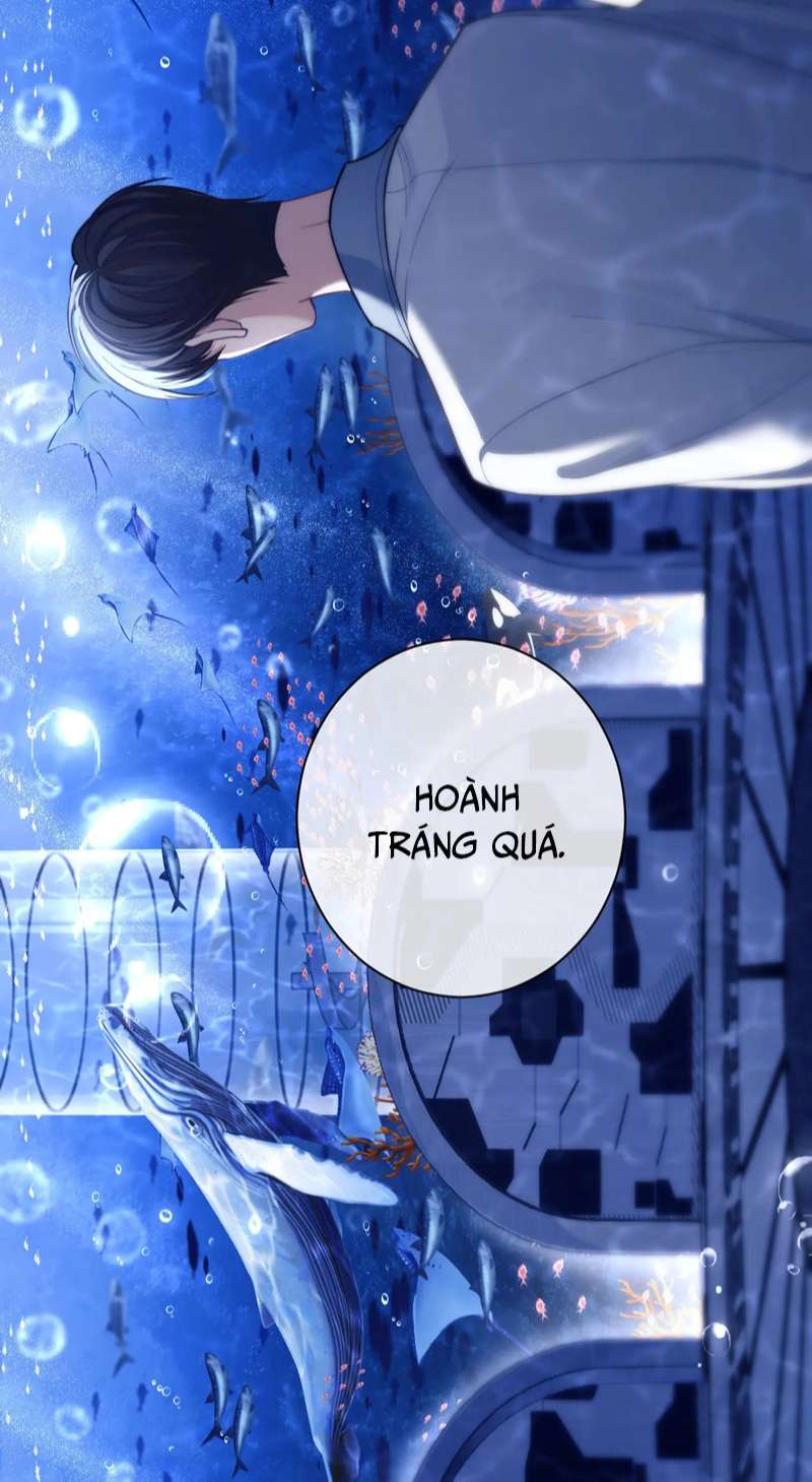 Desharow Nhân Ngư Chapter 9 - Trang 4