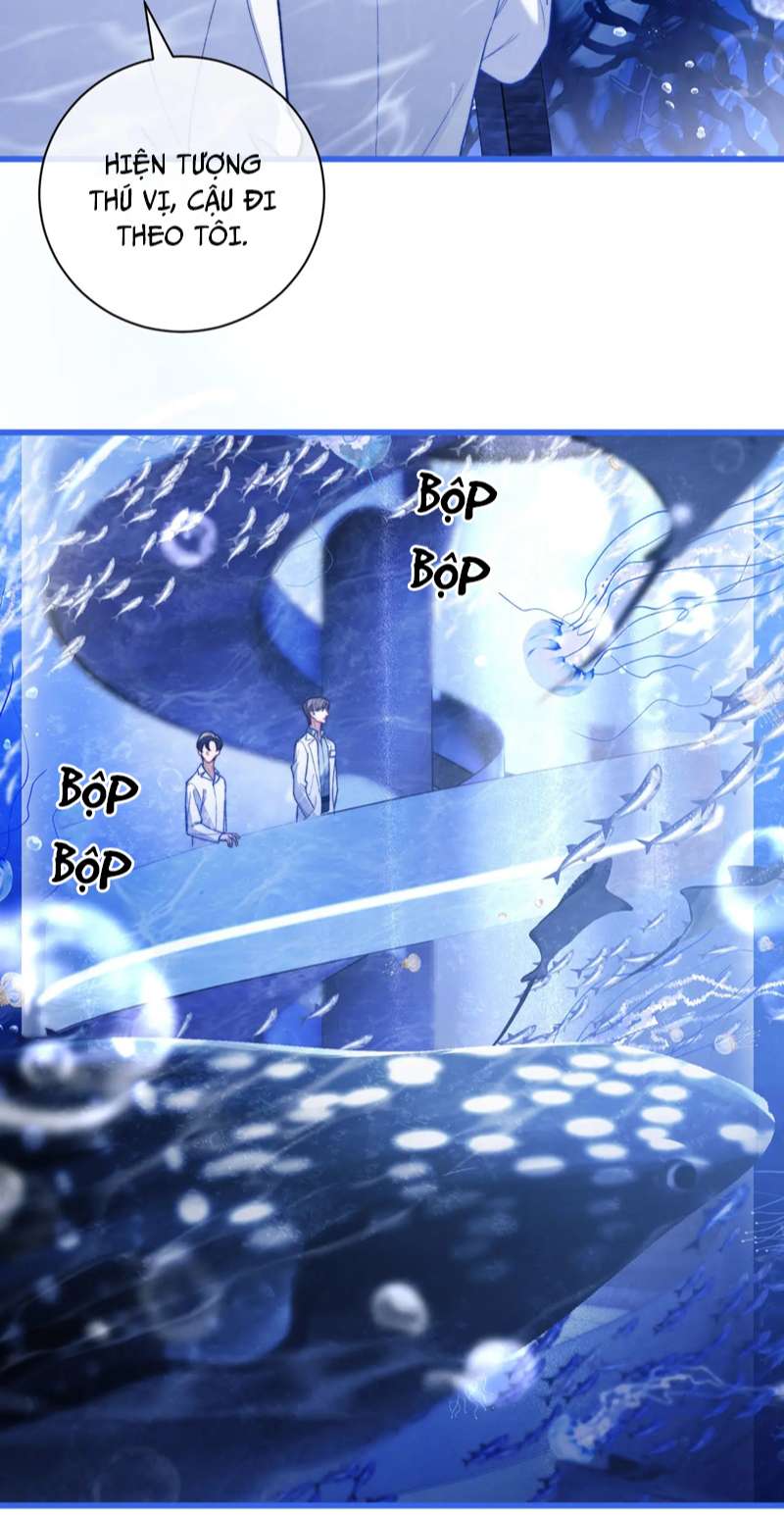 Desharow Nhân Ngư Chapter 9 - Trang 4