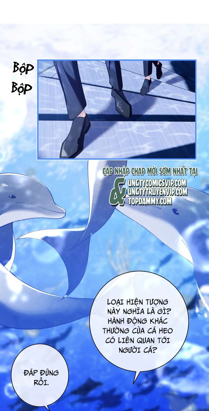 Desharow Nhân Ngư Chapter 9 - Trang 4