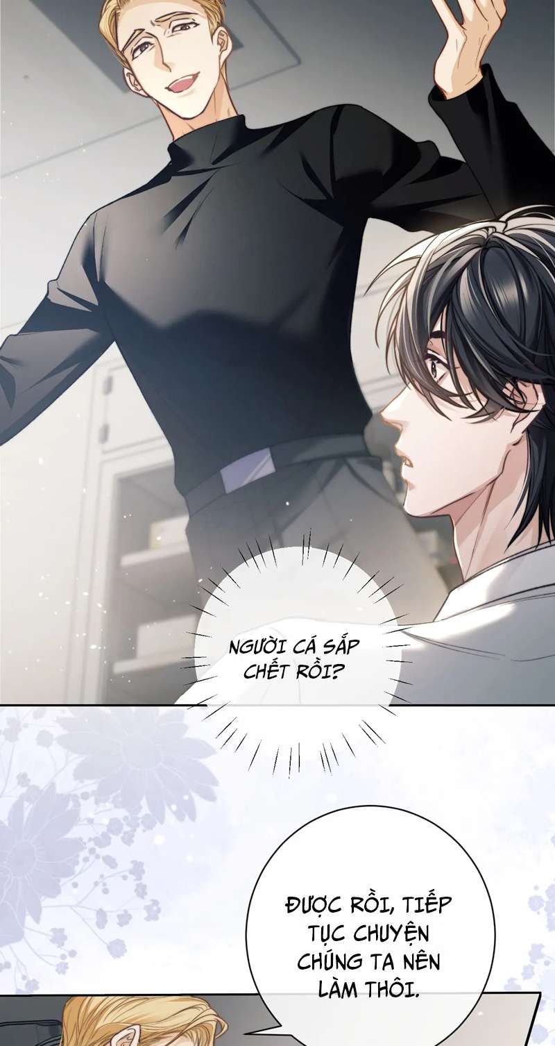 Desharow Nhân Ngư Chapter 9 - Trang 4