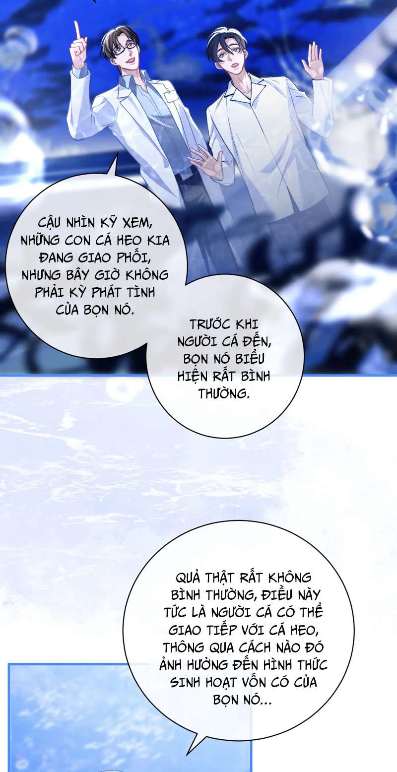 Desharow Nhân Ngư Chapter 9 - Trang 4