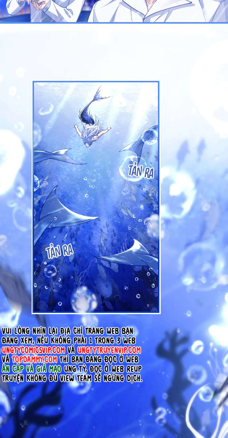 Desharow Nhân Ngư Chapter 9 - Trang 4