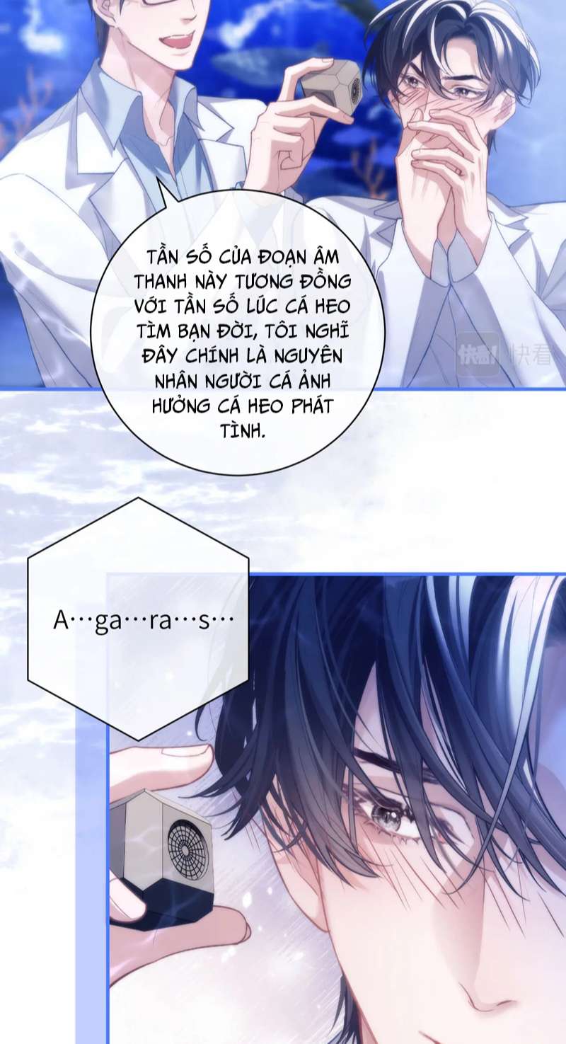 Desharow Nhân Ngư Chapter 9 - Trang 4