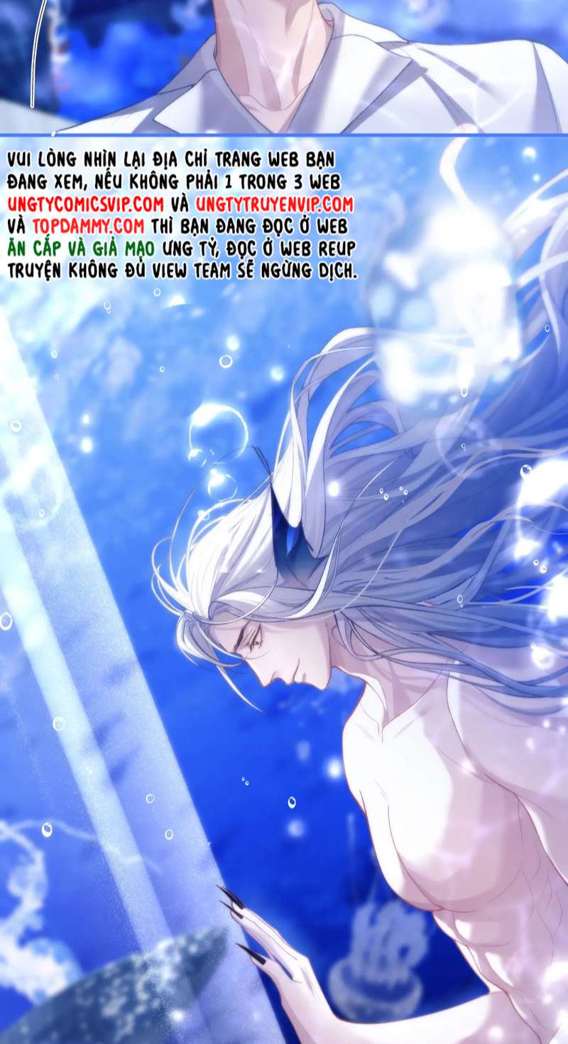 Desharow Nhân Ngư Chapter 9 - Trang 4