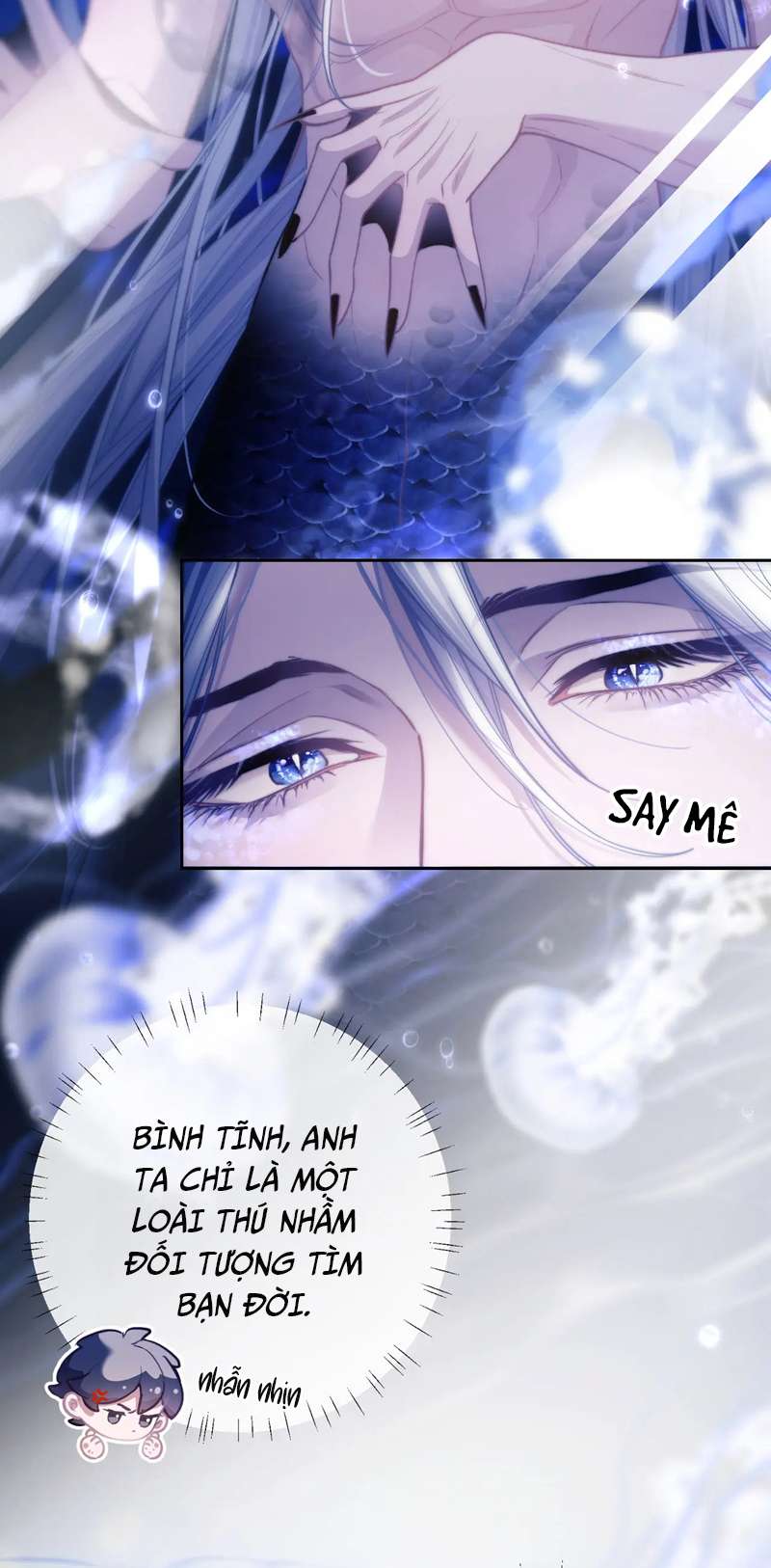 Desharow Nhân Ngư Chapter 10 - Trang 4