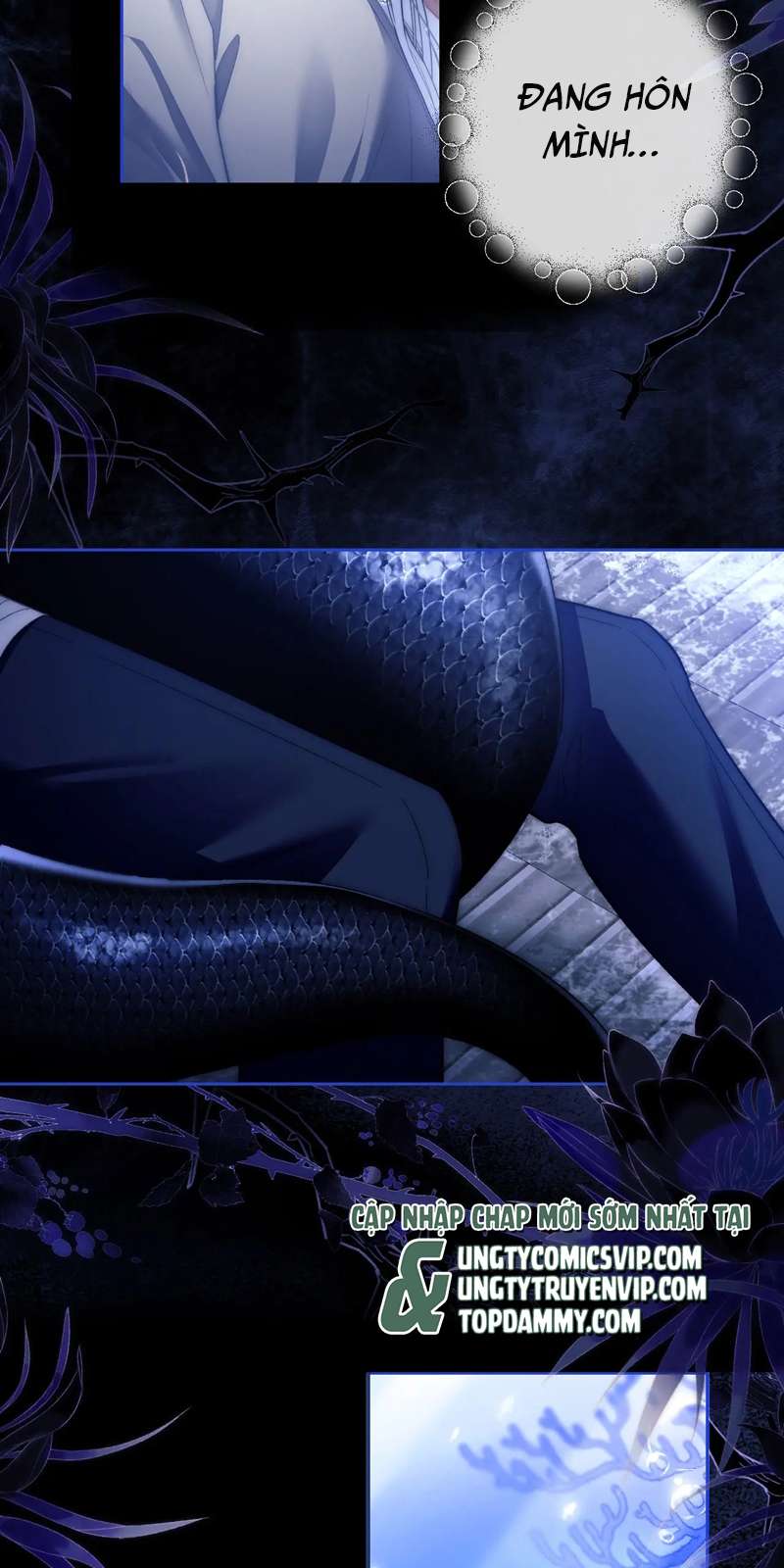 Desharow Nhân Ngư Chapter 10 - Trang 4