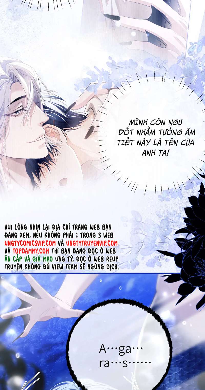 Desharow Nhân Ngư Chapter 10 - Trang 4