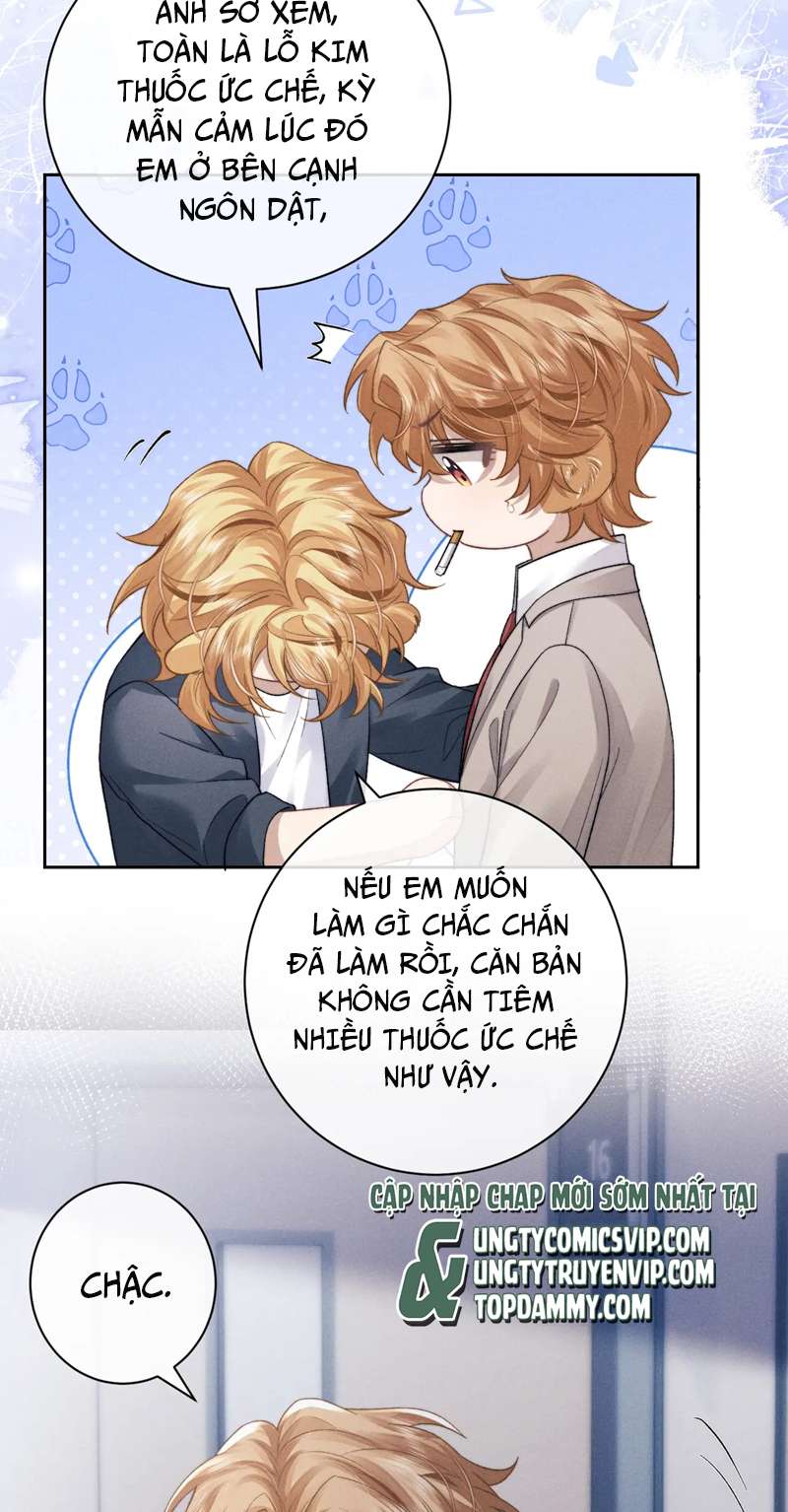 Chấp Sự Thỏ Cụp Tai Chapter 49 - Trang 4