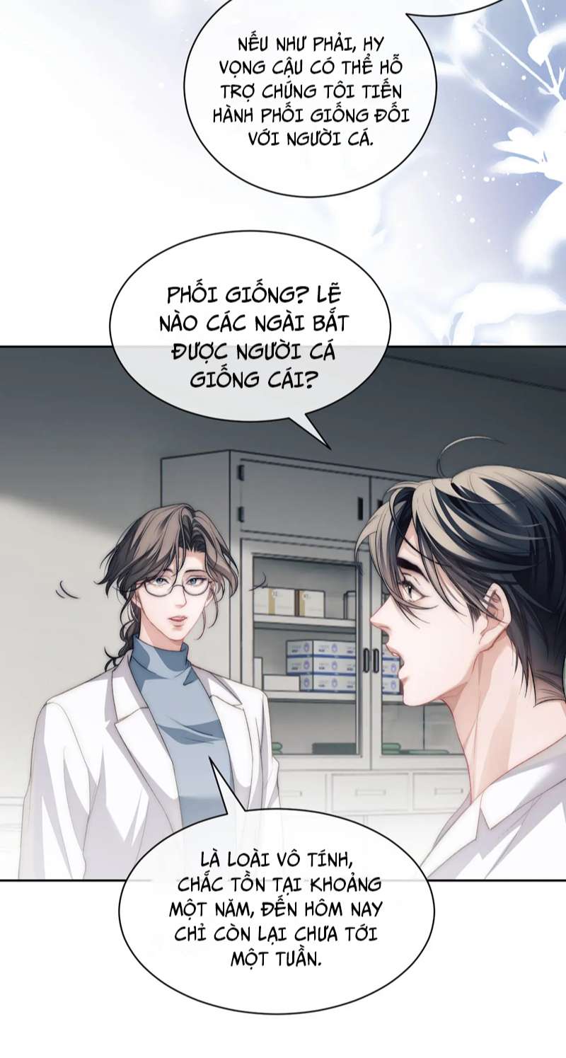 Desharow Nhân Ngư Chapter 11 - Trang 4