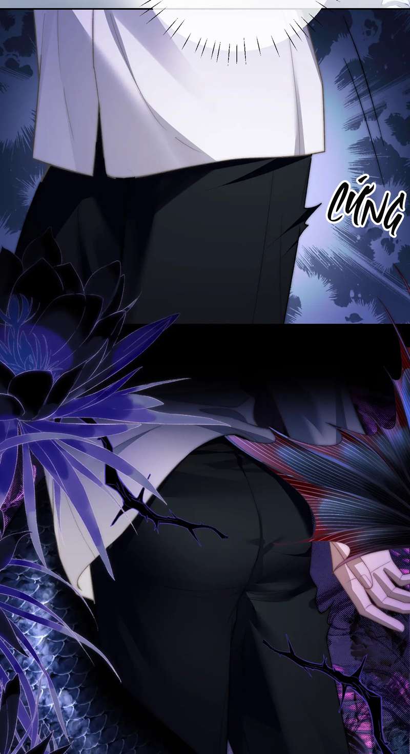 Desharow Nhân Ngư Chapter 11 - Trang 4