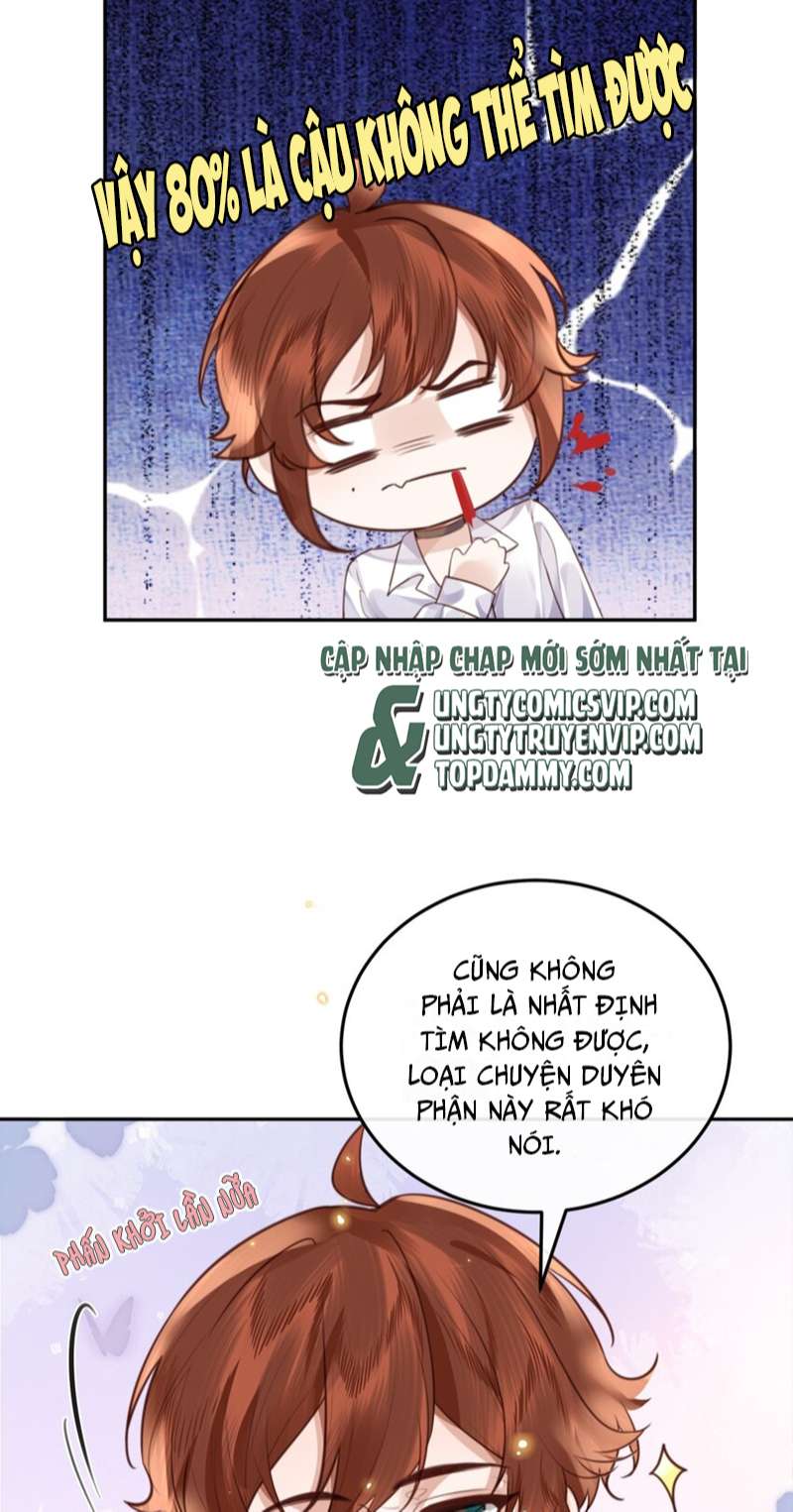 Tổng Tài Định Chế Tư Nhân Chapter 55 - Trang 4