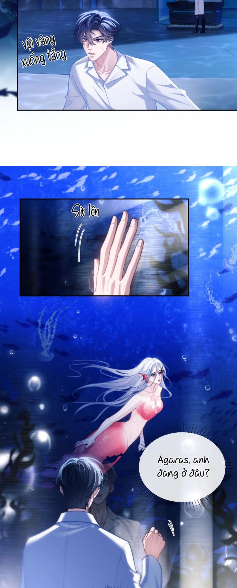 Desharow Nhân Ngư Chapter 12 - Trang 4