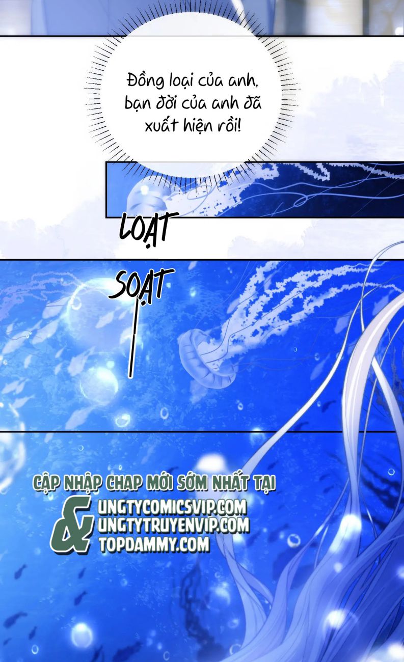 Desharow Nhân Ngư Chapter 12 - Trang 4