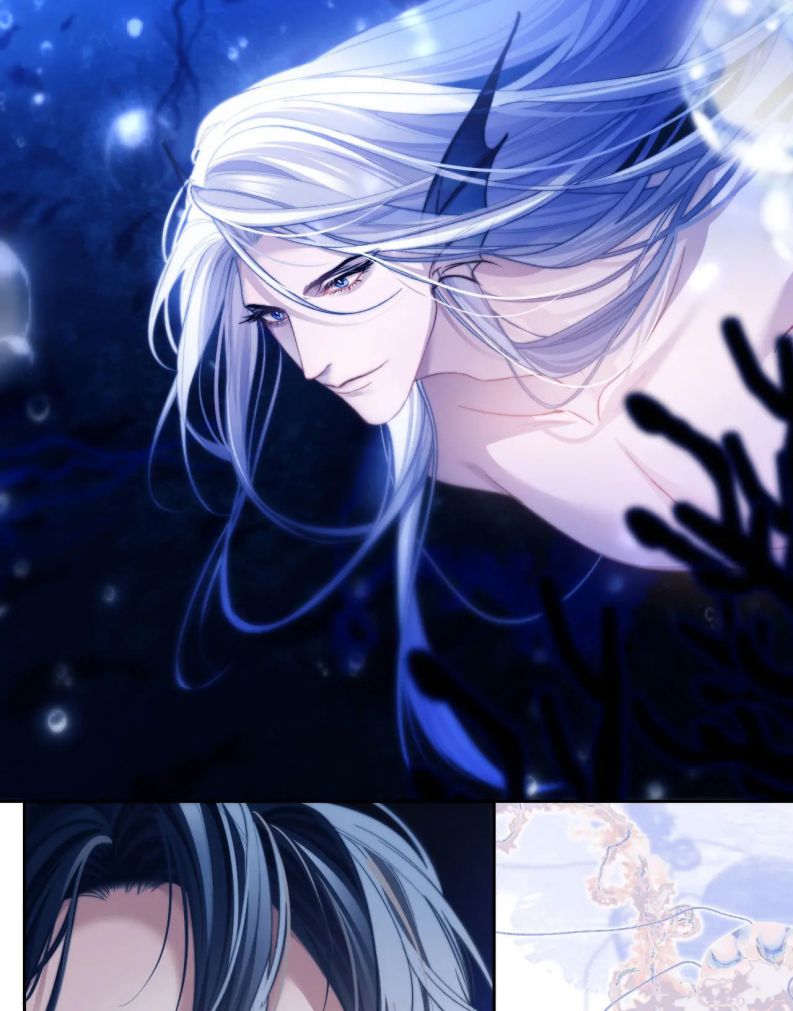 Desharow Nhân Ngư Chapter 12 - Trang 4