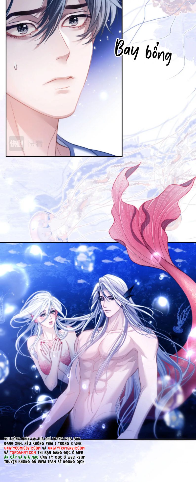 Desharow Nhân Ngư Chapter 12 - Trang 4