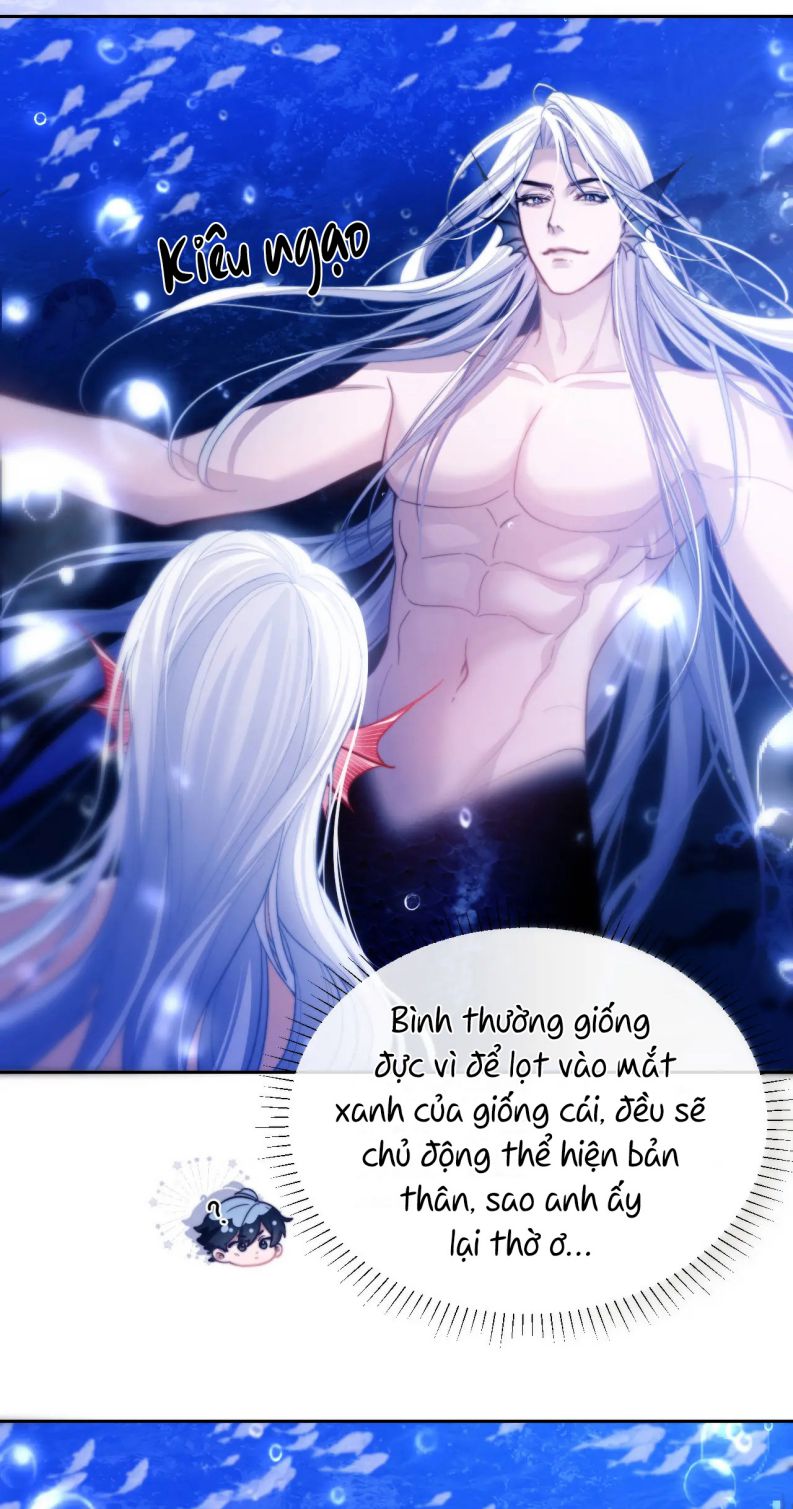 Desharow Nhân Ngư Chapter 12 - Trang 4