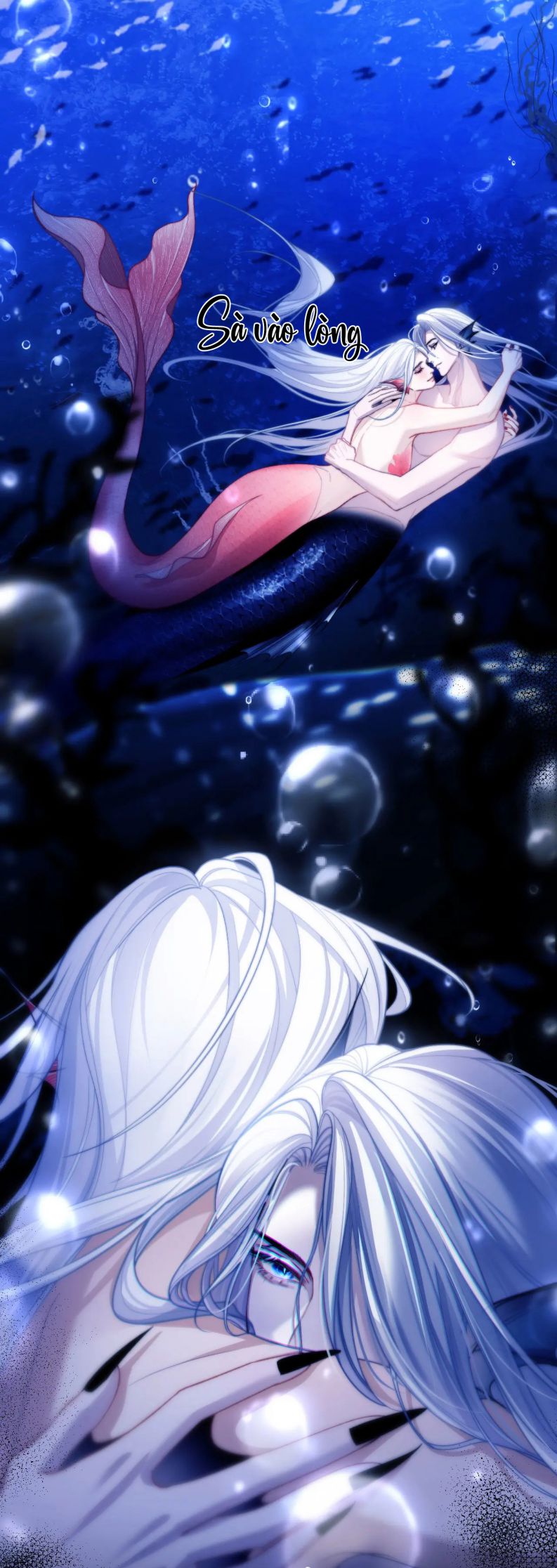 Desharow Nhân Ngư Chapter 12 - Trang 4