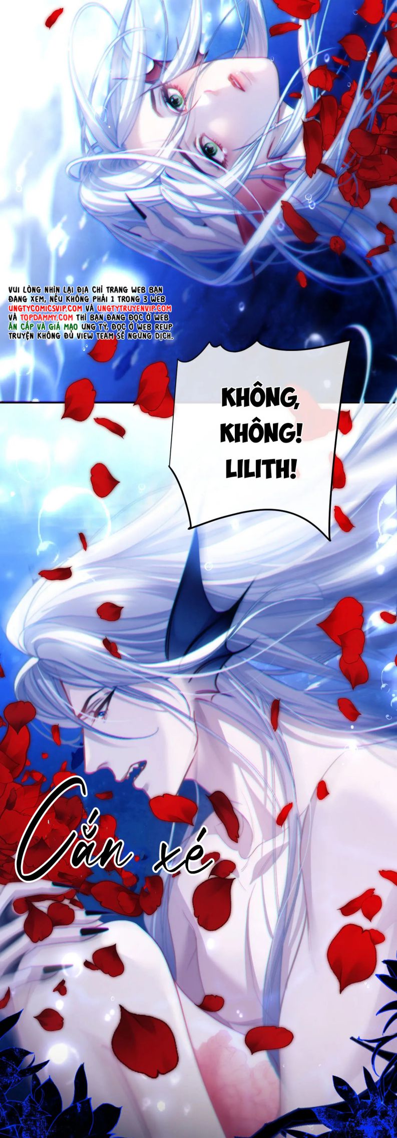 Desharow Nhân Ngư Chapter 12 - Trang 4