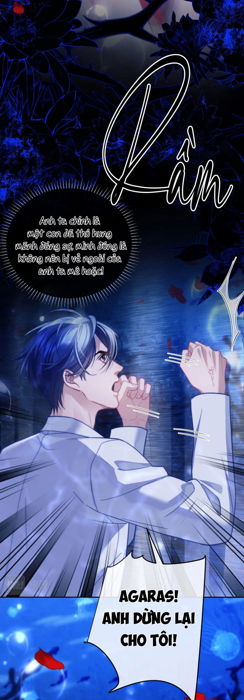 Desharow Nhân Ngư Chapter 12 - Trang 4