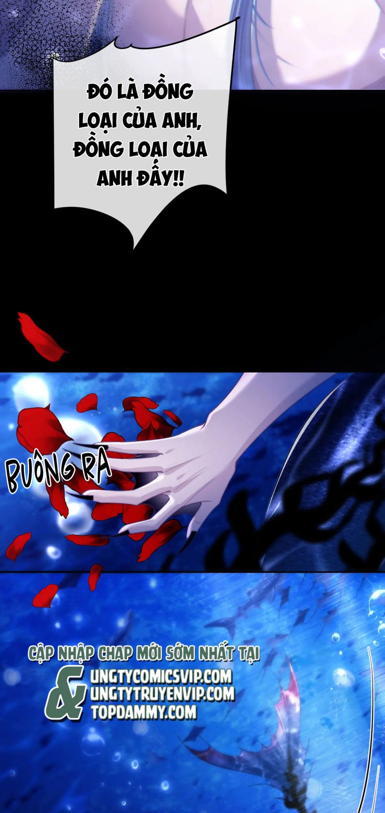 Desharow Nhân Ngư Chapter 12 - Trang 4