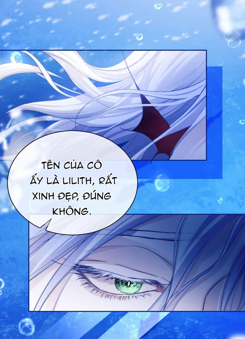 Desharow Nhân Ngư Chapter 12 - Trang 4