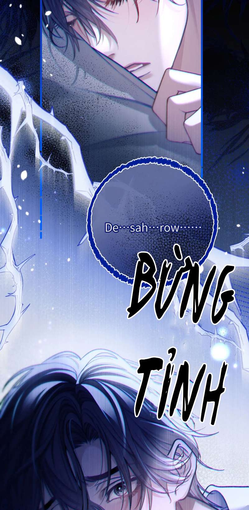 Desharow Nhân Ngư Chap 13 - Trang 2