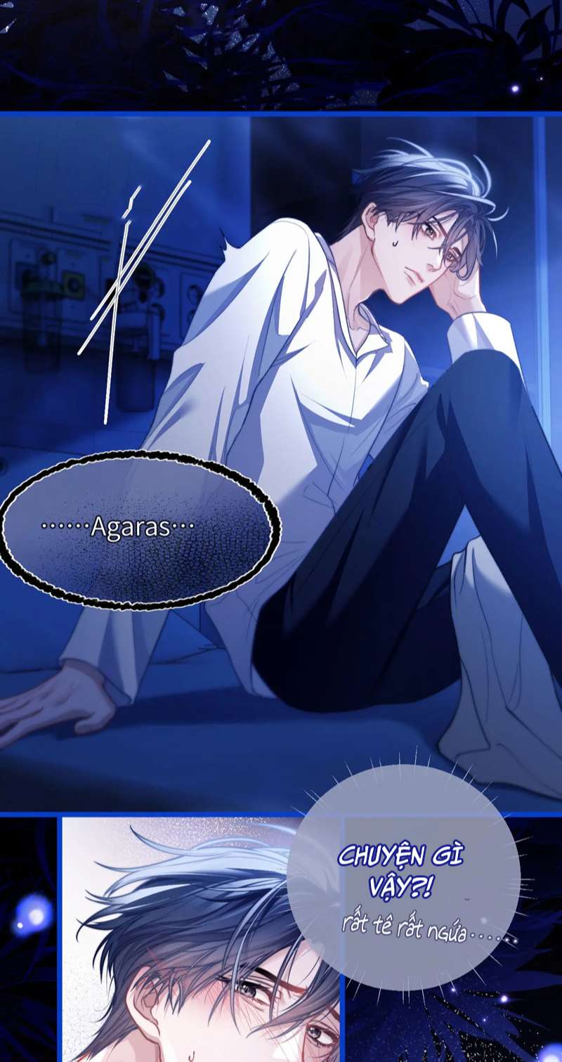 Desharow Nhân Ngư Chap 13 - Trang 2