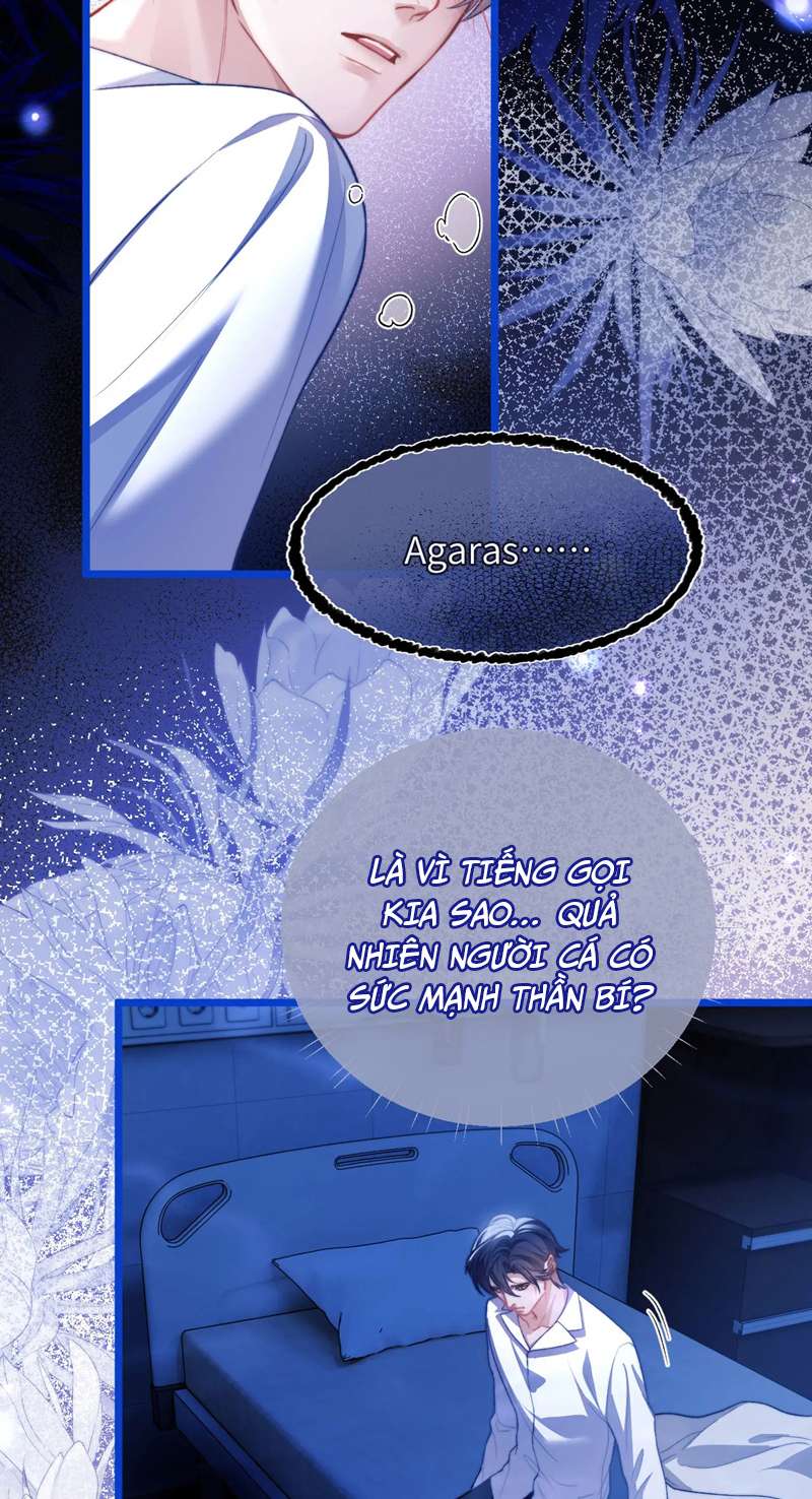 Desharow Nhân Ngư Chap 13 - Trang 2